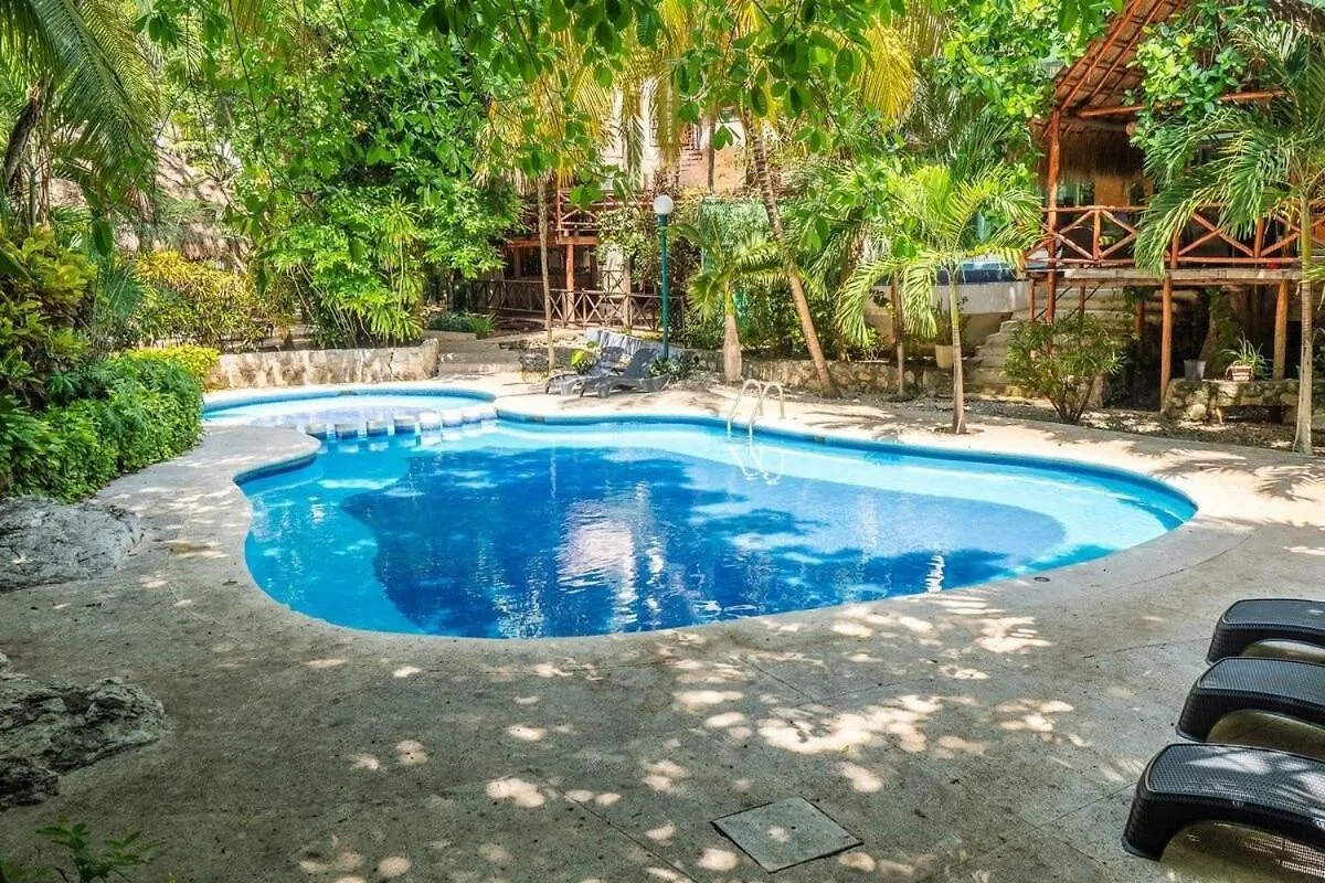Apartment In Duplex One Block From Playacar Beach Плая-дель-Кармен 0*,  Мексика